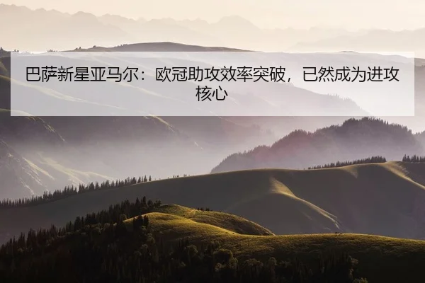 ba-sa-xin-xing-ya-ma-er-ou-guan-zhu-gong-xiao-lv-tu-po-yi-ran-cheng-wei-jin-gong-he-xin-2-304.jpg